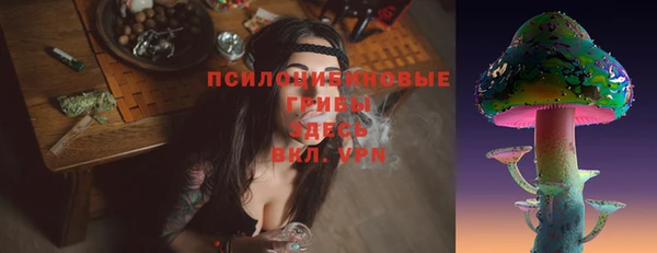 дурь Балахна