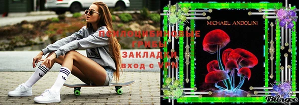 дурь Балахна