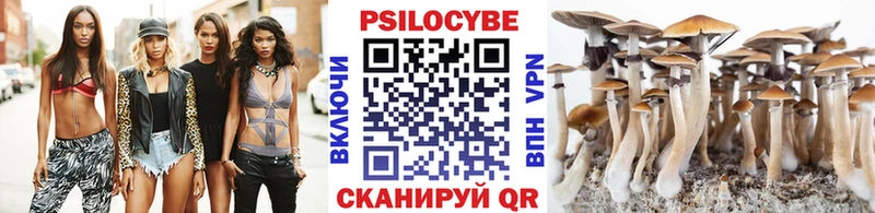 Галлюциногенные грибы Psilocybe  гидра tor  Горячий Ключ 