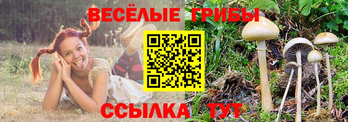 Экстази  Меф кристаллы  ГЕРОИН  МДМА  Гашиш  Горячий Ключ  Кокаин 