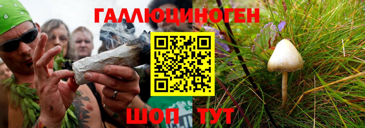 Горячий Ключ  магазин продажи наркотиков  Вход с VPN  Псилоцибиновые грибы Magic Shrooms  Псилоцибиновые грибы ЛСД 