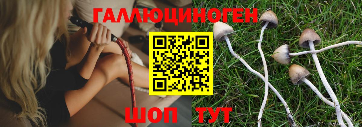 Галлюциногенные грибы GOLDEN TEACHER Горячий Ключ