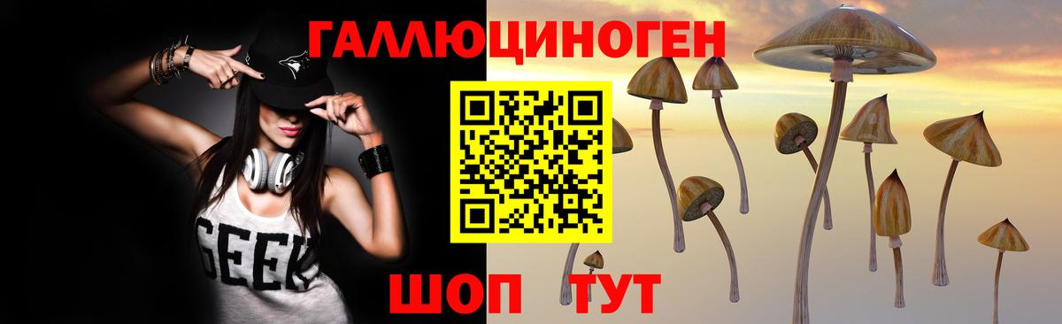 Псилоцибиновые грибы мицелий Горячий Ключ